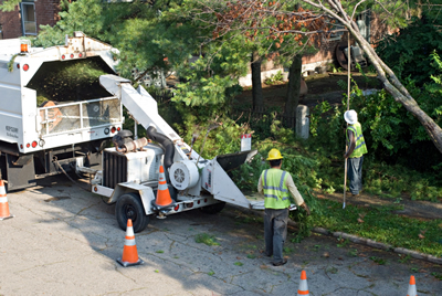 Keller Tree Service