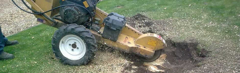 Stump Grinding Keller, Texas