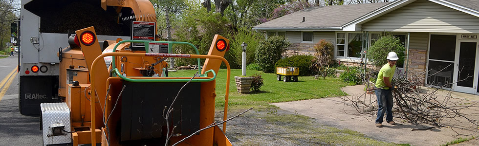 Tree Removal Keller, Texas